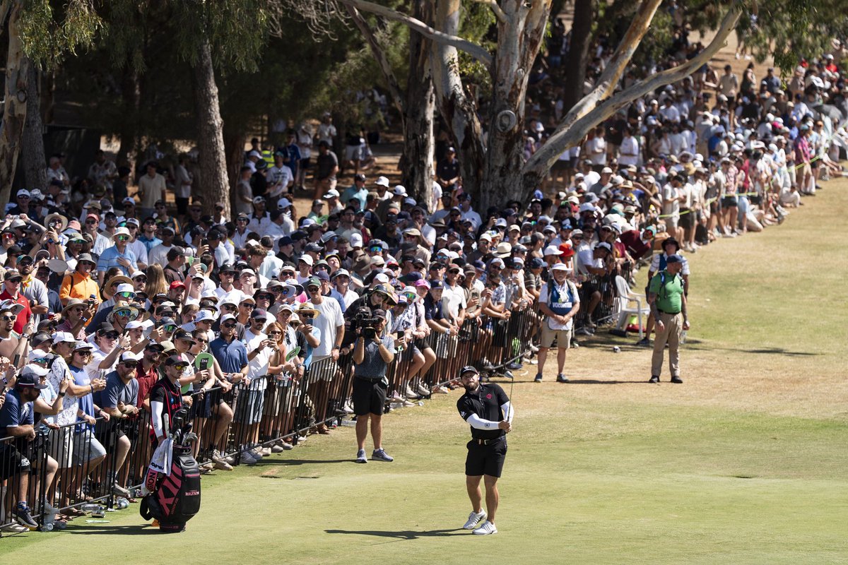 Tyrrell Hatton tweet media