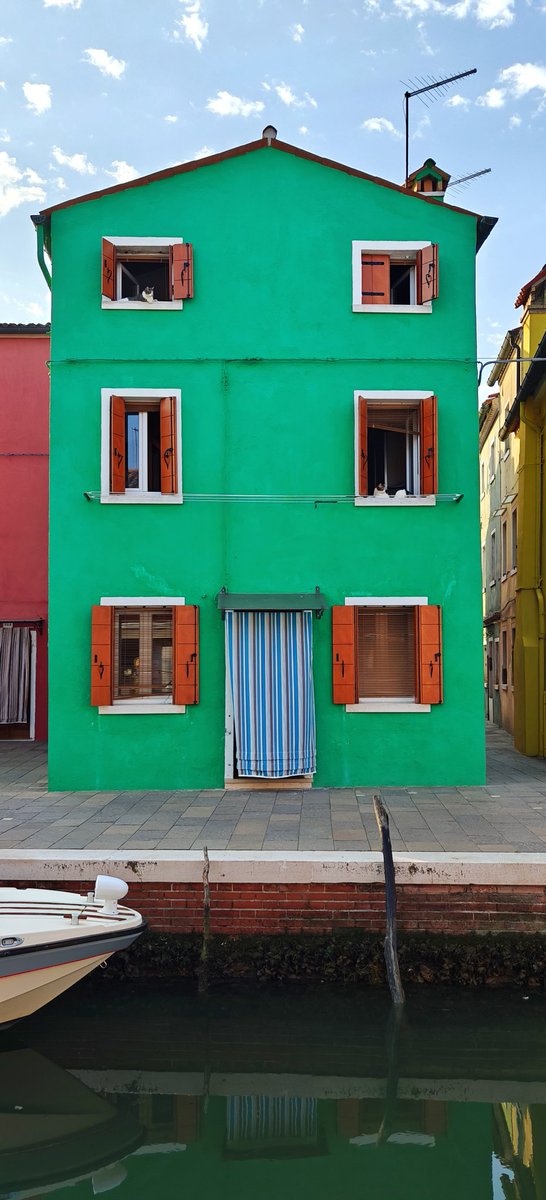 Backpacking Daku tweet media