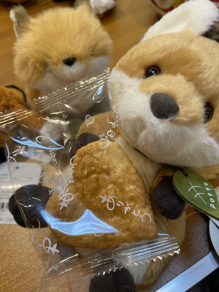 初午きつね展
搬出してきました🙌
今回もたくさん見ていいただき
お迎えもありがとうございました！！！🙇‍♀️

そして搬出時のぬいの集い💓🦊🦊🦊
🟪🎀と🍃つけてるのはうちの子
そしてまさかのわたぽちゃんをお迎え可能とお聞きしうちの子に😭🫶可愛すぎる！！

また次の展示もよろしくお願い致します💪