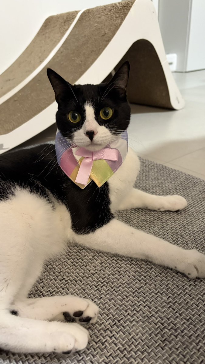 봉구네 김밥이 tweet media