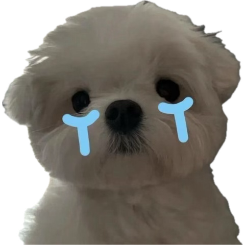 저… 저도 노래 자랑할래요 
전공을 쓸 곳이 없어요 엉엉