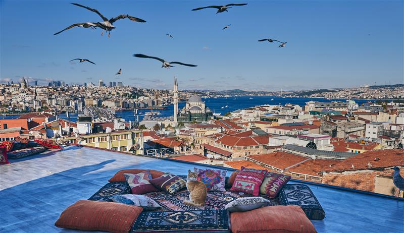 Click2Refund's tweet photo. 🌸 Best Cities to Visit in Europe This Spring 🌍

From Amsterdam’s tulips to Paris cafés, Rome’s sunny streets, Istanbul's cats, Barcelona’s festivals, and Prague’s blossoms — spring is the perfect time for a European city break.

Travel tip ✈️
Flight delayed or cancelled? You may be eligible for compensation under EU passenger rights. Check your flight in minutes with @Click2Refund.
Where are you heading this spring? 🌼

#SpringTravel #EuropeTravel #CityBreak #Wanderlust #TravelTips