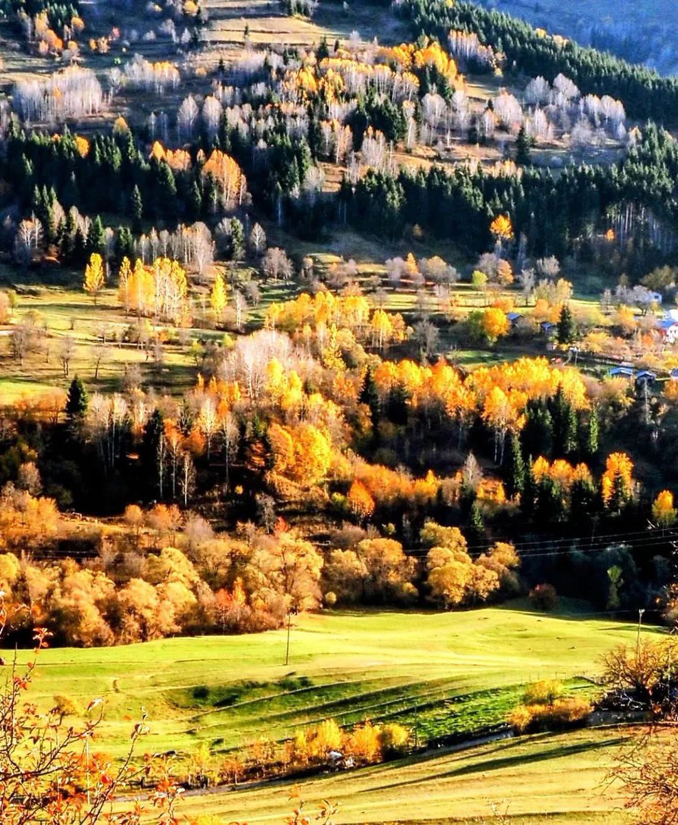 Bu ülkenin en gözde doğal yaşam alanı memleketim #Artvin maden şirketleri aracılığı ile yok ediliyor.
Doğası-yaban yaşamı-insanı her geçen gün çaresizleşiyor.
Buna izin verenlerin vatan sevgisi yok.
Bu canavarlığı durduramazsak önce Artvin’nin sonra ülkenin geleceği karanlık.