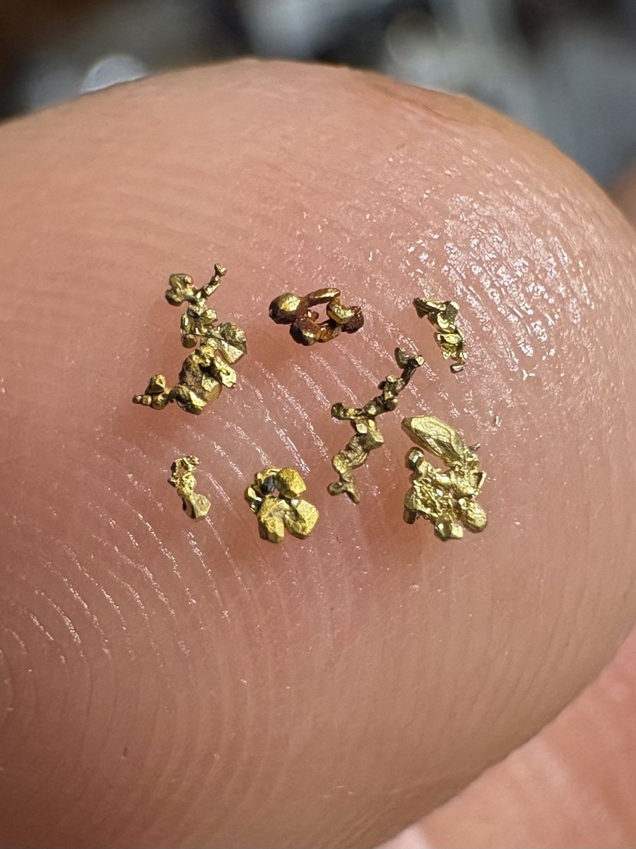 ✨超激レア【結晶自然金】✨ とある川で砂金採取中に採れた非常に