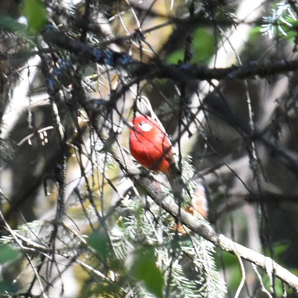 Tim Jukes tweet media