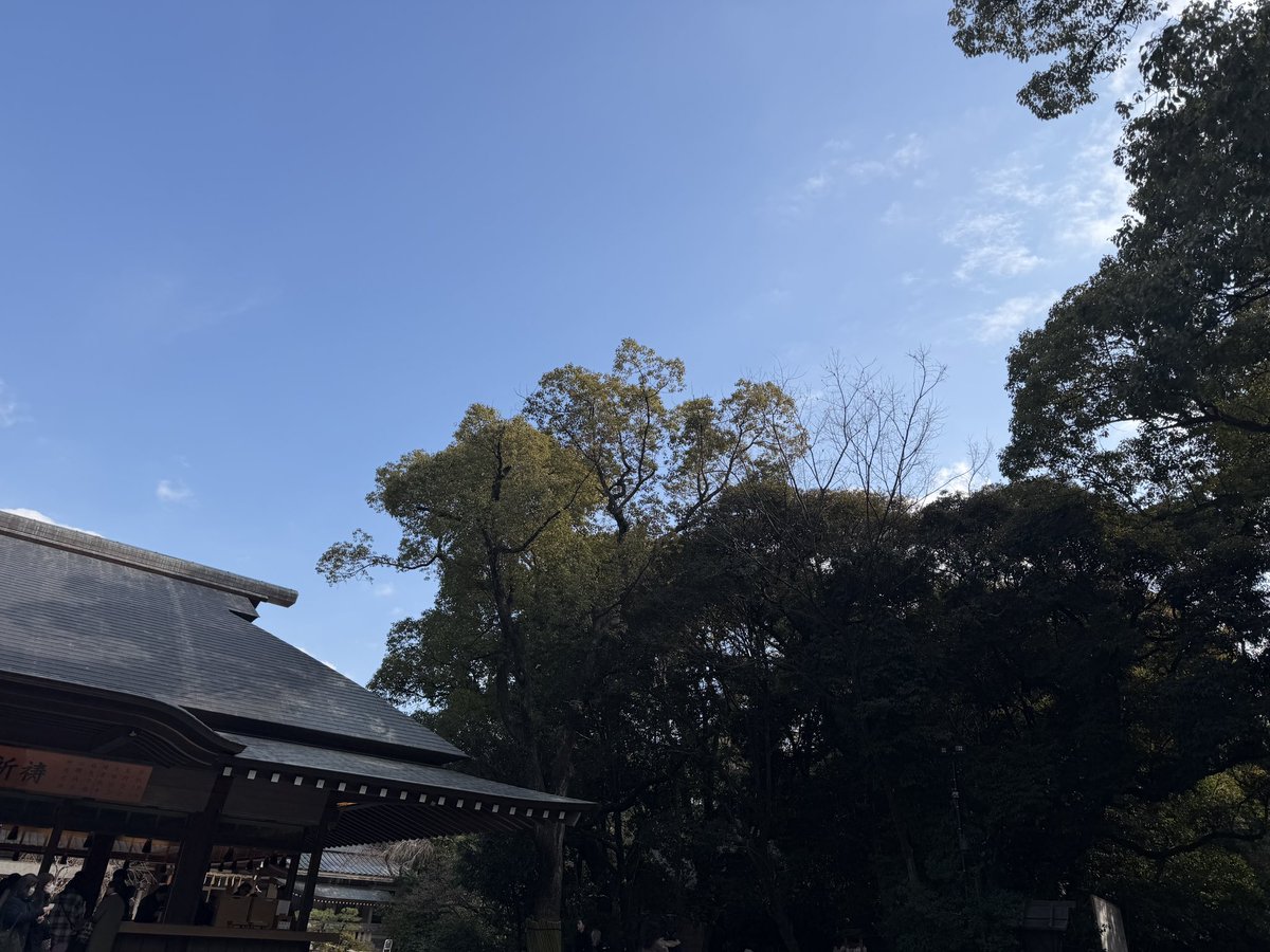 るかにゃぎ🐈 tweet media