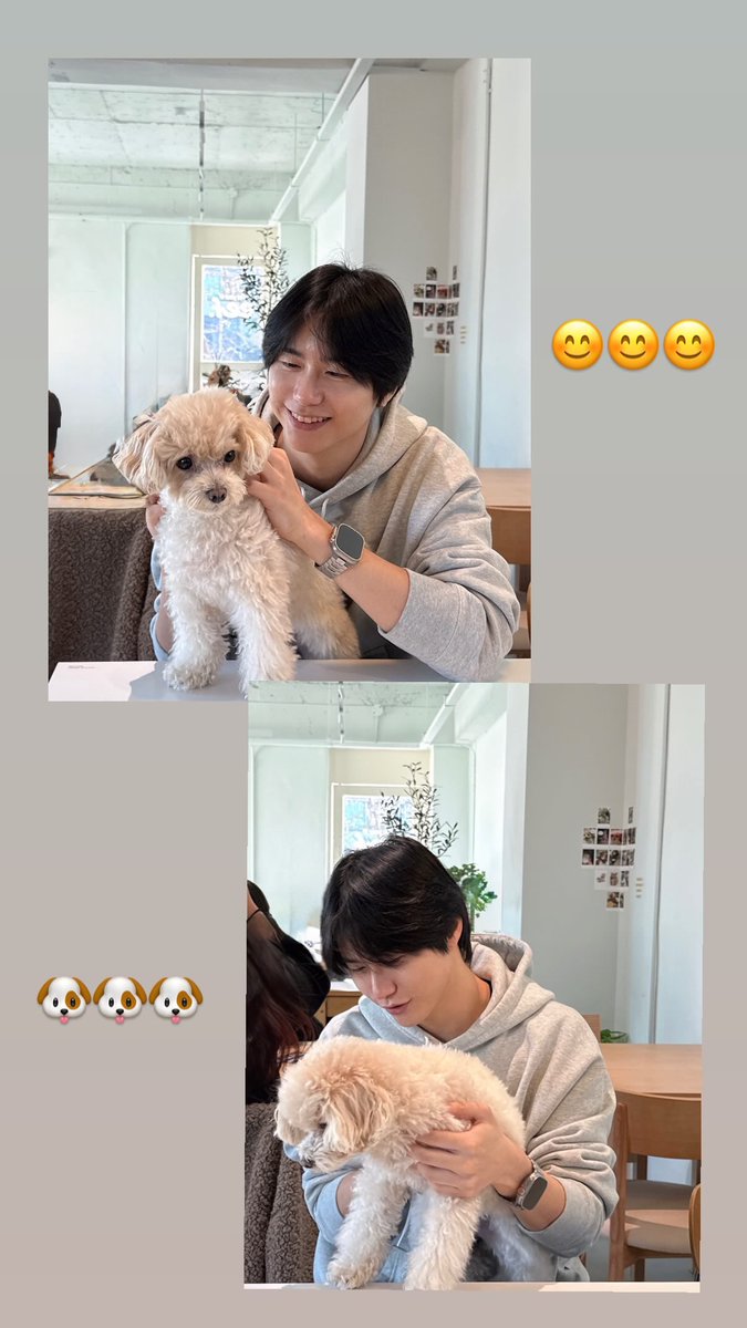 귀여어어엉 강아지가 강아지 만지고있어💕 친구랑 잘놀았나~☺️