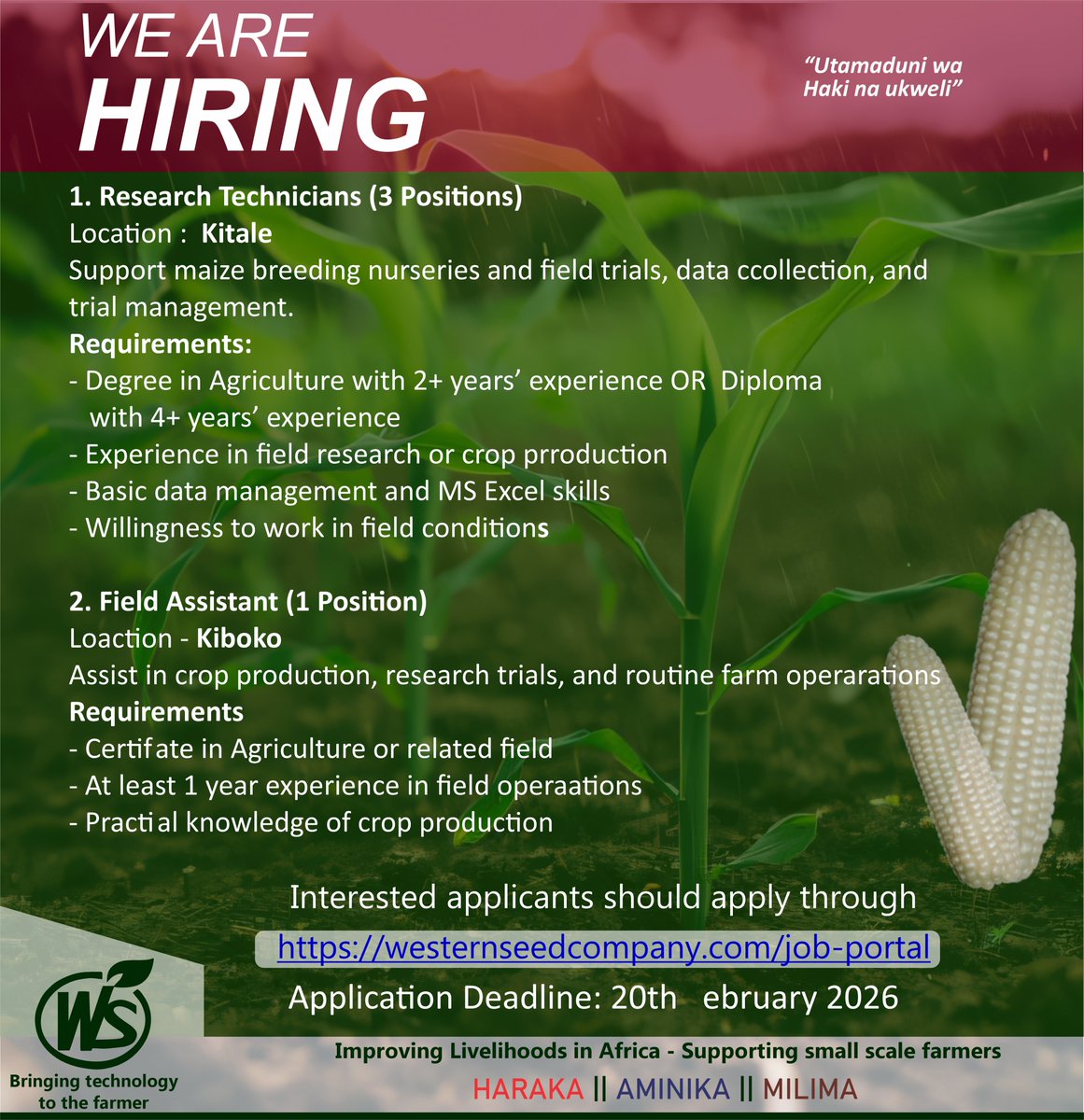 WesternSeedcom's tweet photo. WE ARE HIRING!
Apply here: https://t.co/xyZdBCyXrV https://t.co/9li3omYQ9V