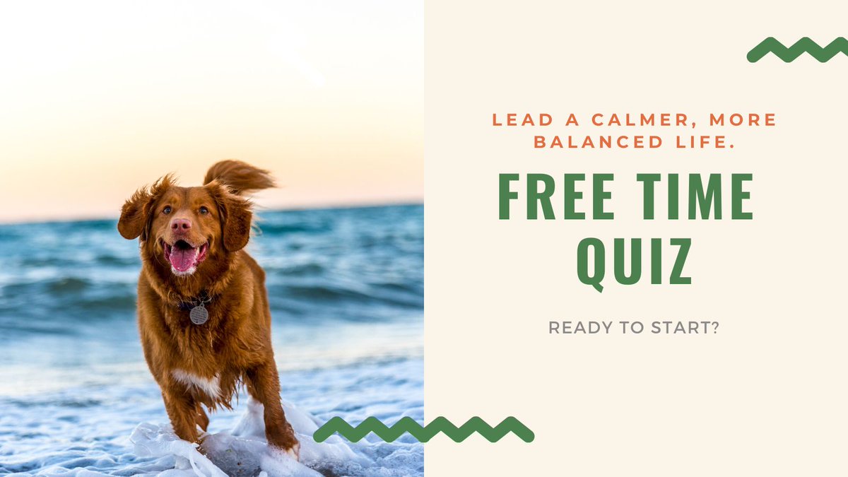Time is your most important resource ⌚️. Are you making the most of it? Complete the Quiz and find out.  #entrepreneurs #leaders clareevans.co.uk/free-time-quiz/