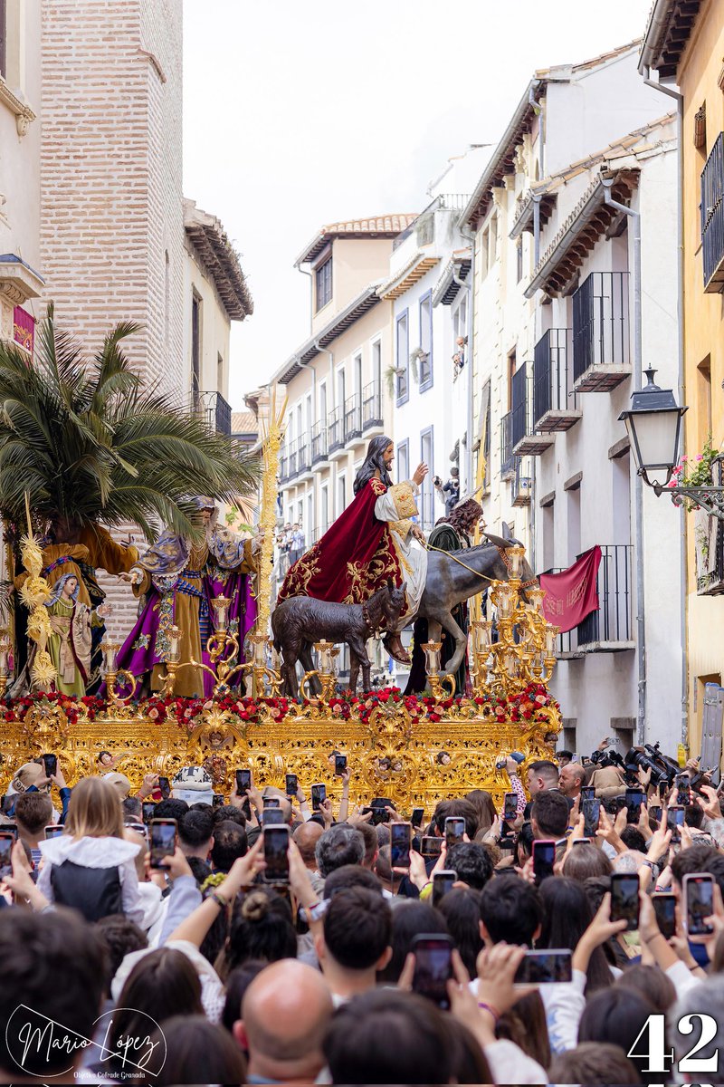 #50DÍAS50FOTOS

<a href="/borriquillaypaz/">Cofradía Borriquilla de Granada</a>

#granada #ss25