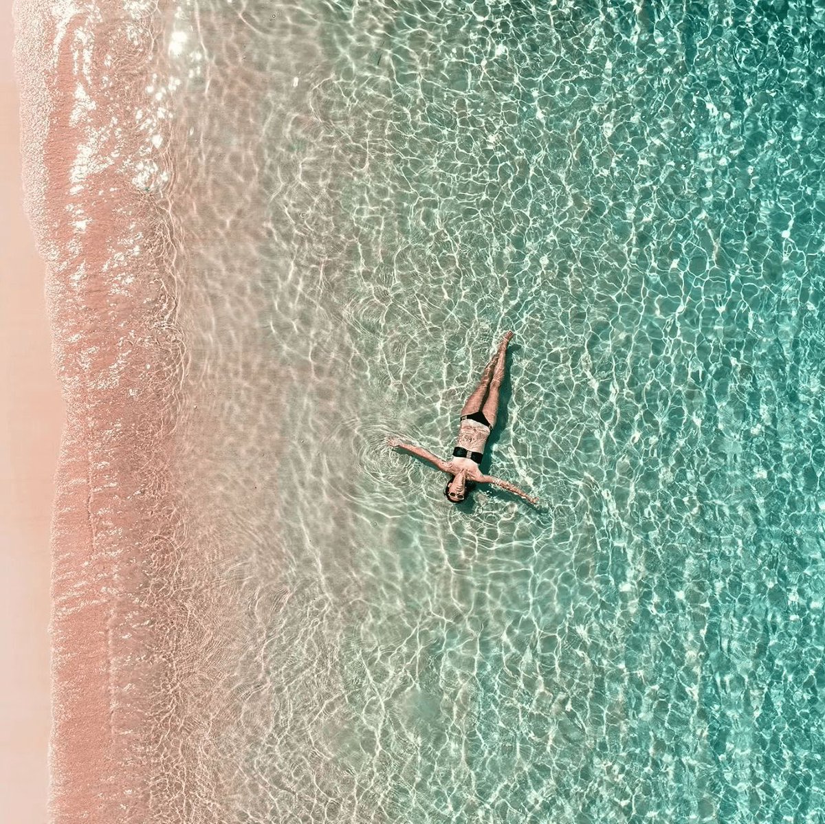 Coralbound tweet media