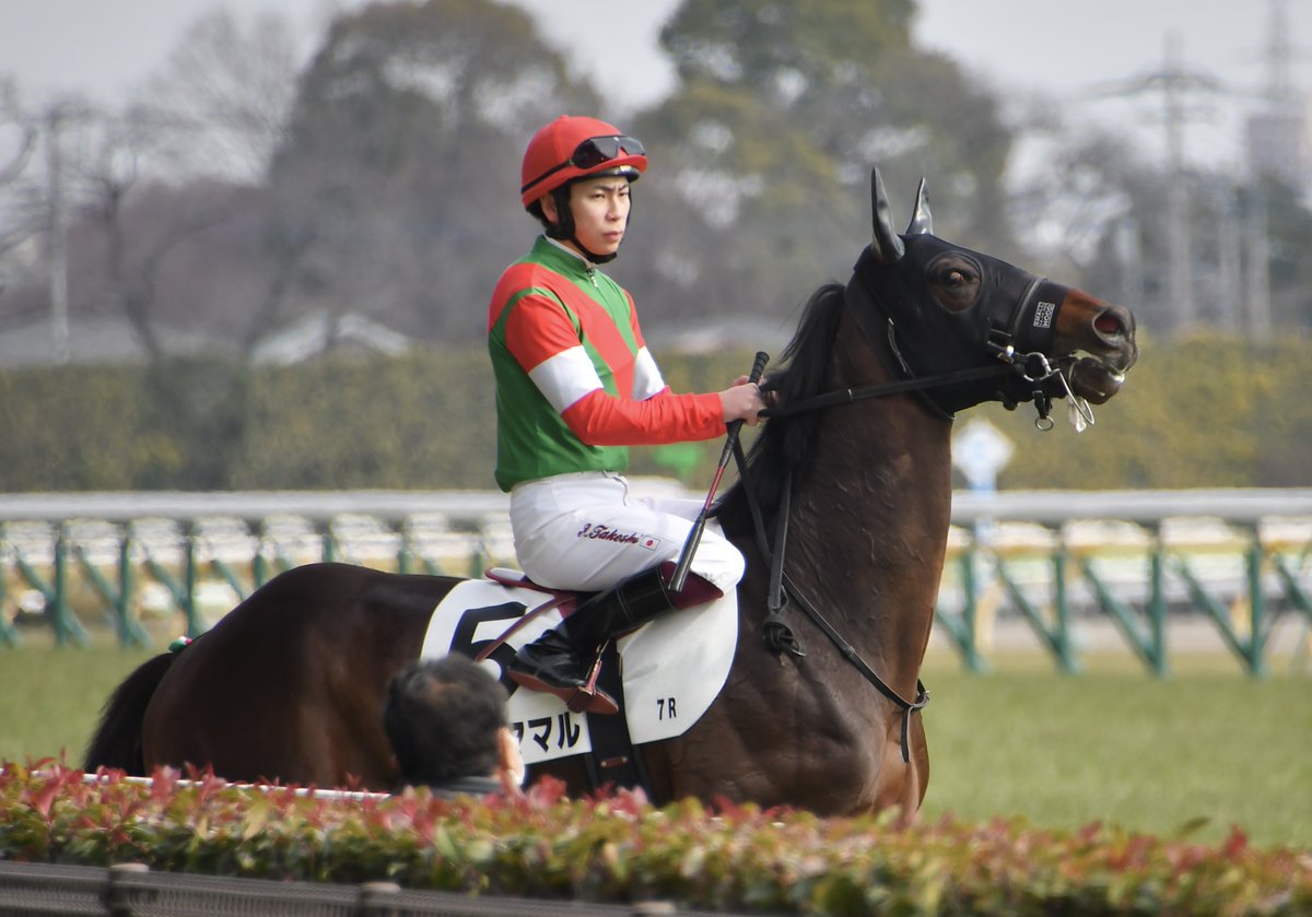 2026.2.14 東京7R 3歳1勝クラス 〗 武史くんも思わず笑っちゃう歴代の