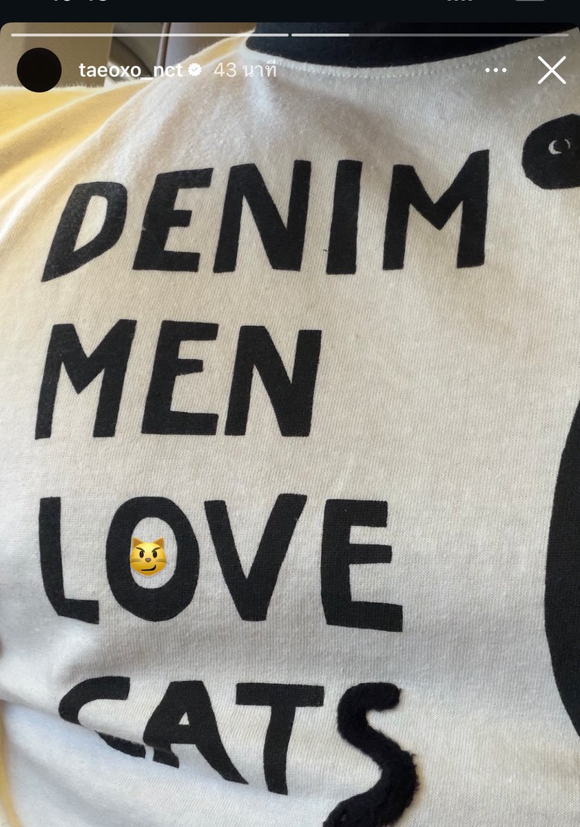 แมวล์ไหนคะ