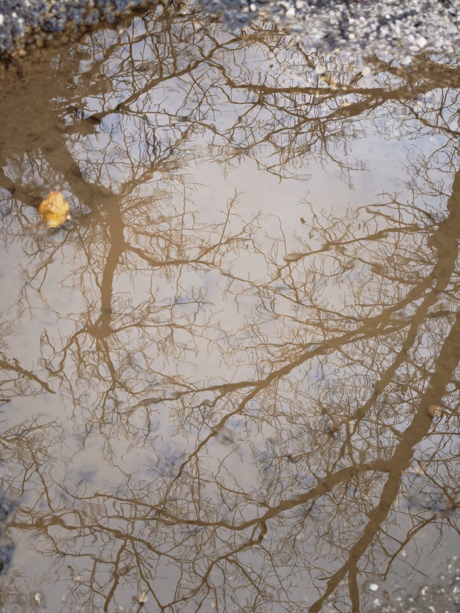 MsBlazic's tweet image. #šetnja