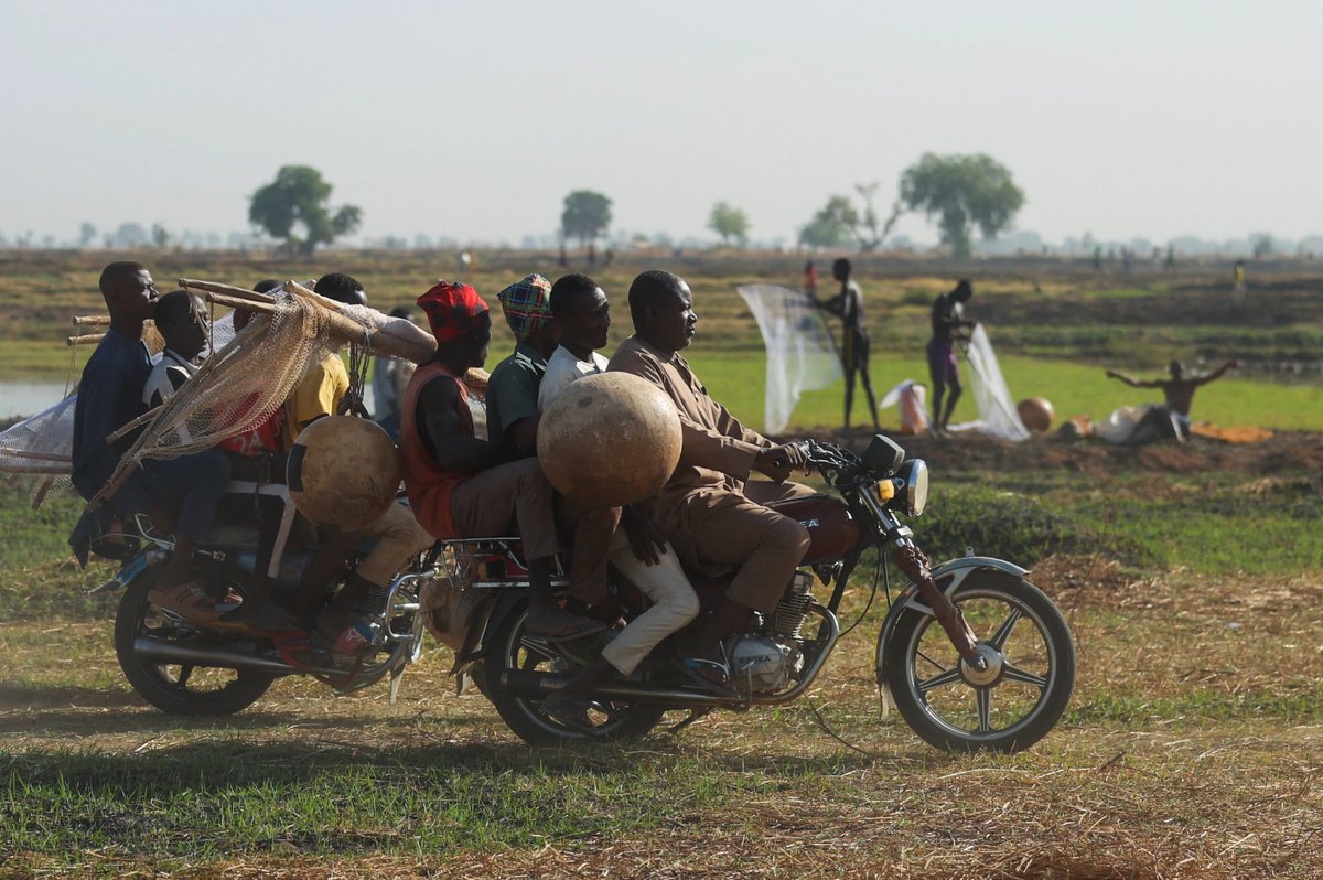 Nigeria’s Argungu fishing contest returns after years of pause — in pictures aje.news/jfngpt