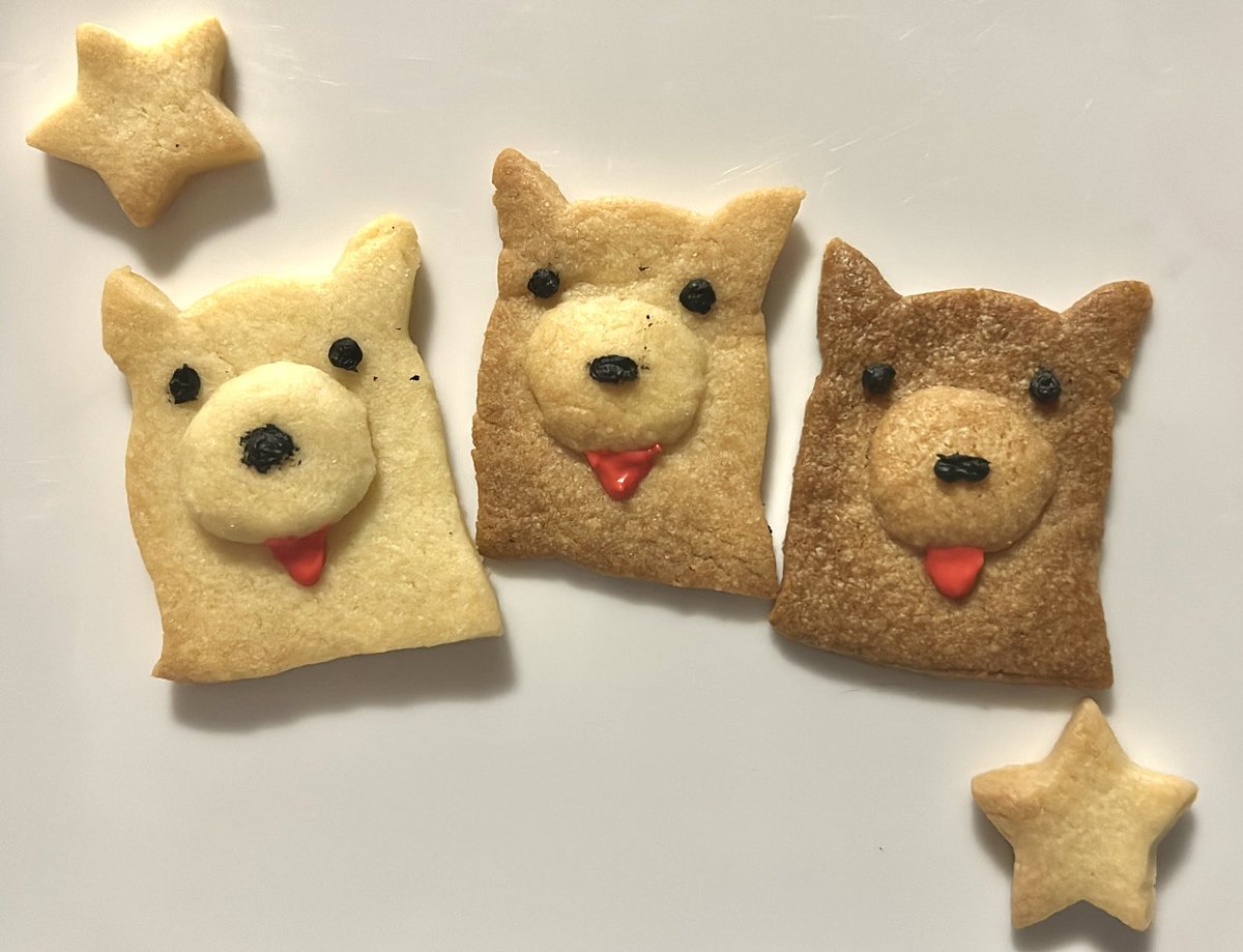 puqv0809's tweet photo. バレンタインだからTECHNOVAの犬作った
#テイトウワ https://t.co/nJML3q1XvB