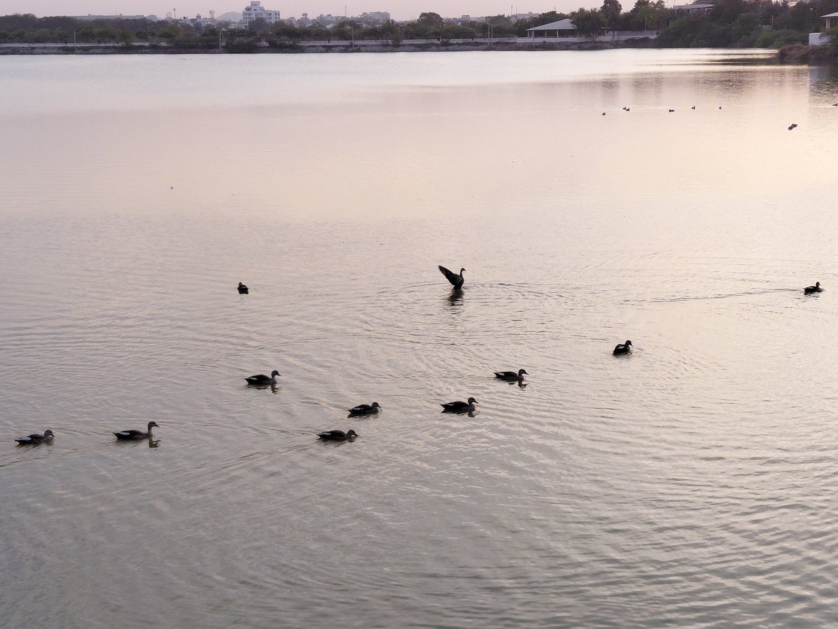 Gowtham S tweet media