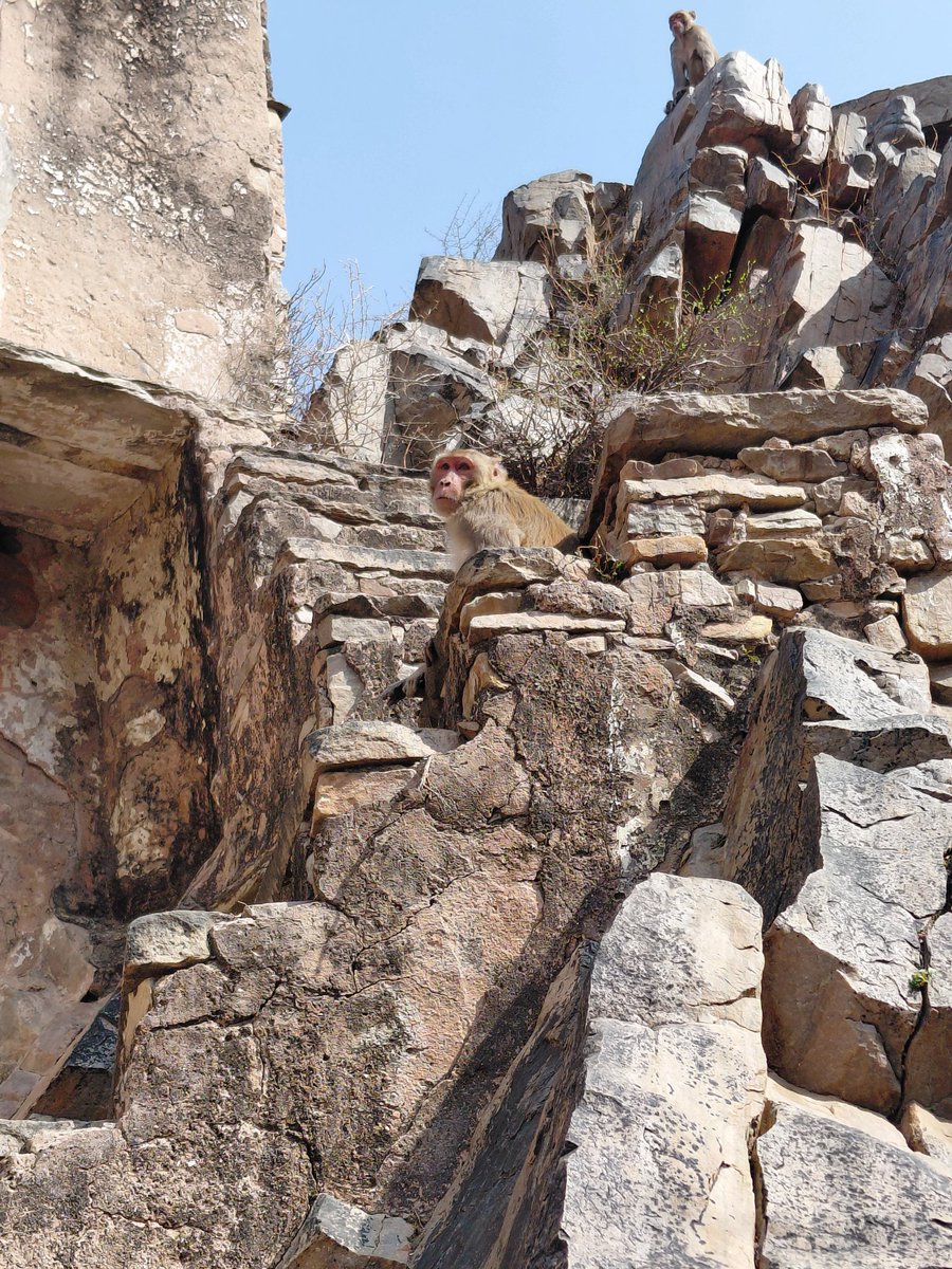 Gowtham S tweet media