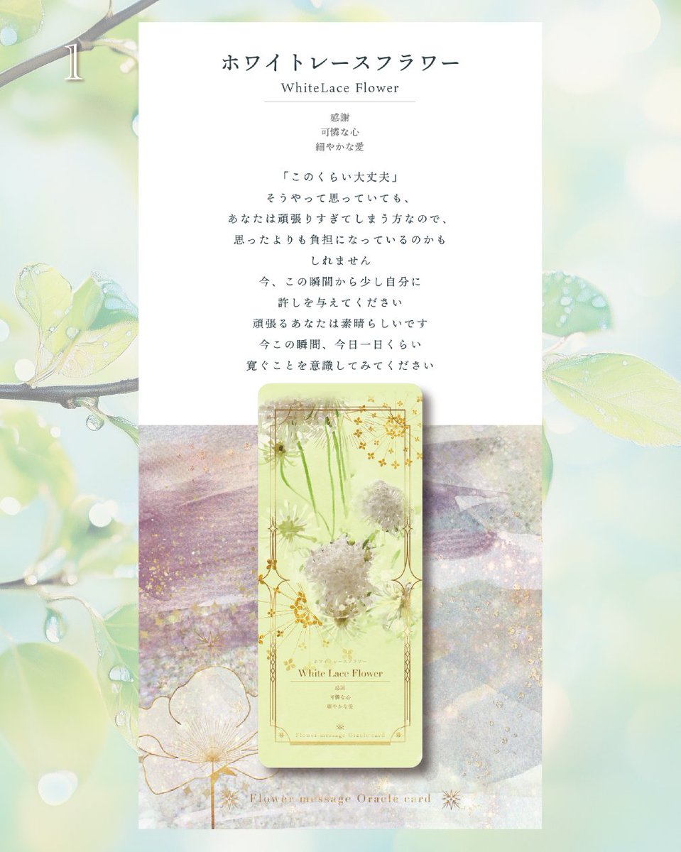 FlowermessageO's tweet photo. 【1】を選んだあなたへ
💐ホワイトレースフラワー『感謝・可憐な心・細やかな愛』

「このくらい大丈夫」
そうやって思っていても、
あなたは頑張りすぎてしまう方。

思ったよりも負担になっているのかもしれません。

今、この瞬間から少し自分に許しを与えてください。
頑張るあなたは素晴らしいです✨

今この瞬間、今日一日くらい
寛ぐことを意識してみてくださいね🤍