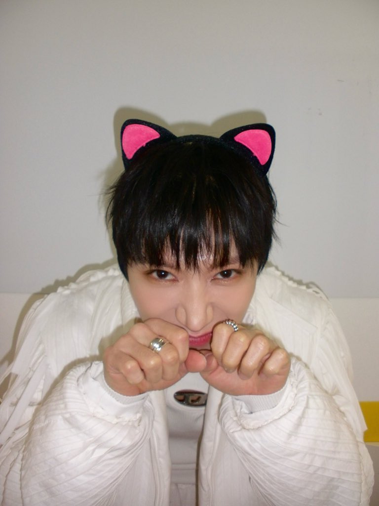 DENIM MEN                       CAT
LOVE CAT