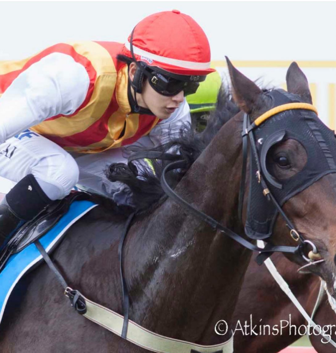 Matt Kelly tweet media