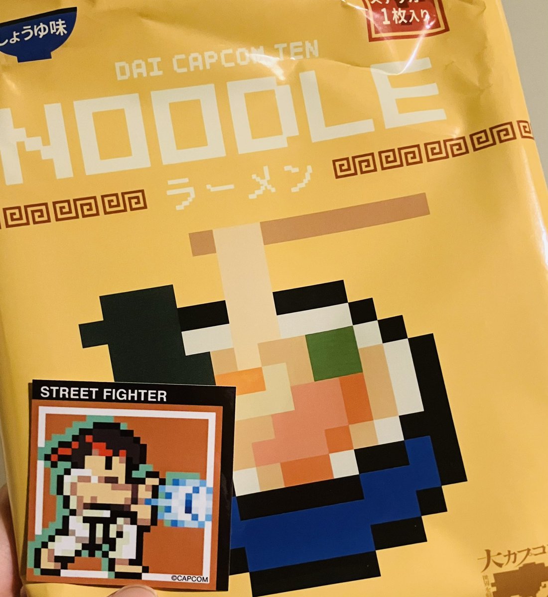 リュウちゃん（波動拳のすがた）でした