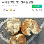 Photo by 내가 찾아본 소식 (@whatnowthis)