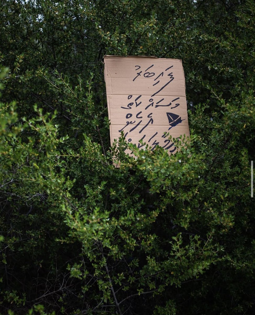 Ahmed Aiham #HingaaMale tweet media