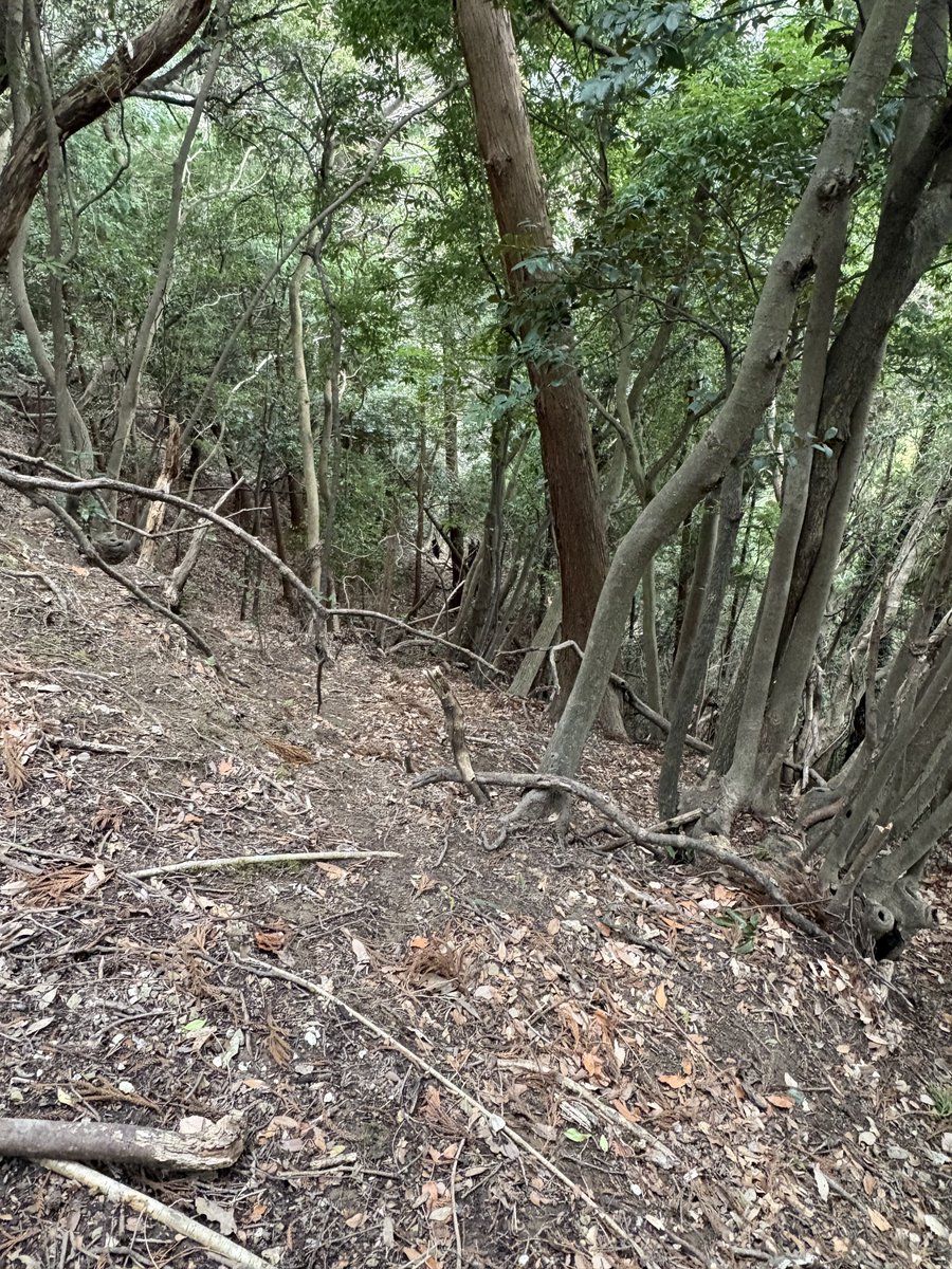 この斜面からロープテクニックで揚げたんだから僕すごいw