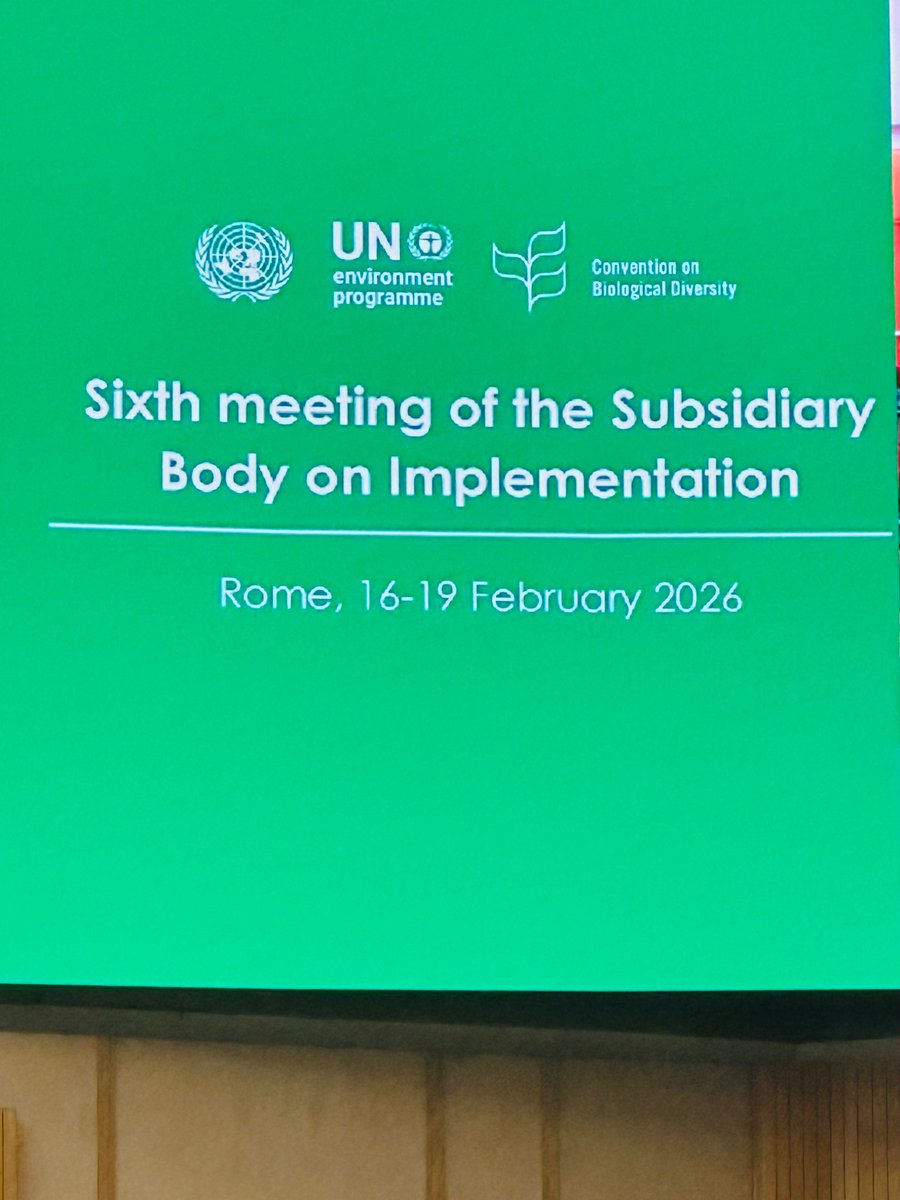 Joseph Africano Bartel tweet media