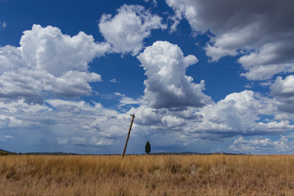 The leaning pole of Cement Mills - a few days back.