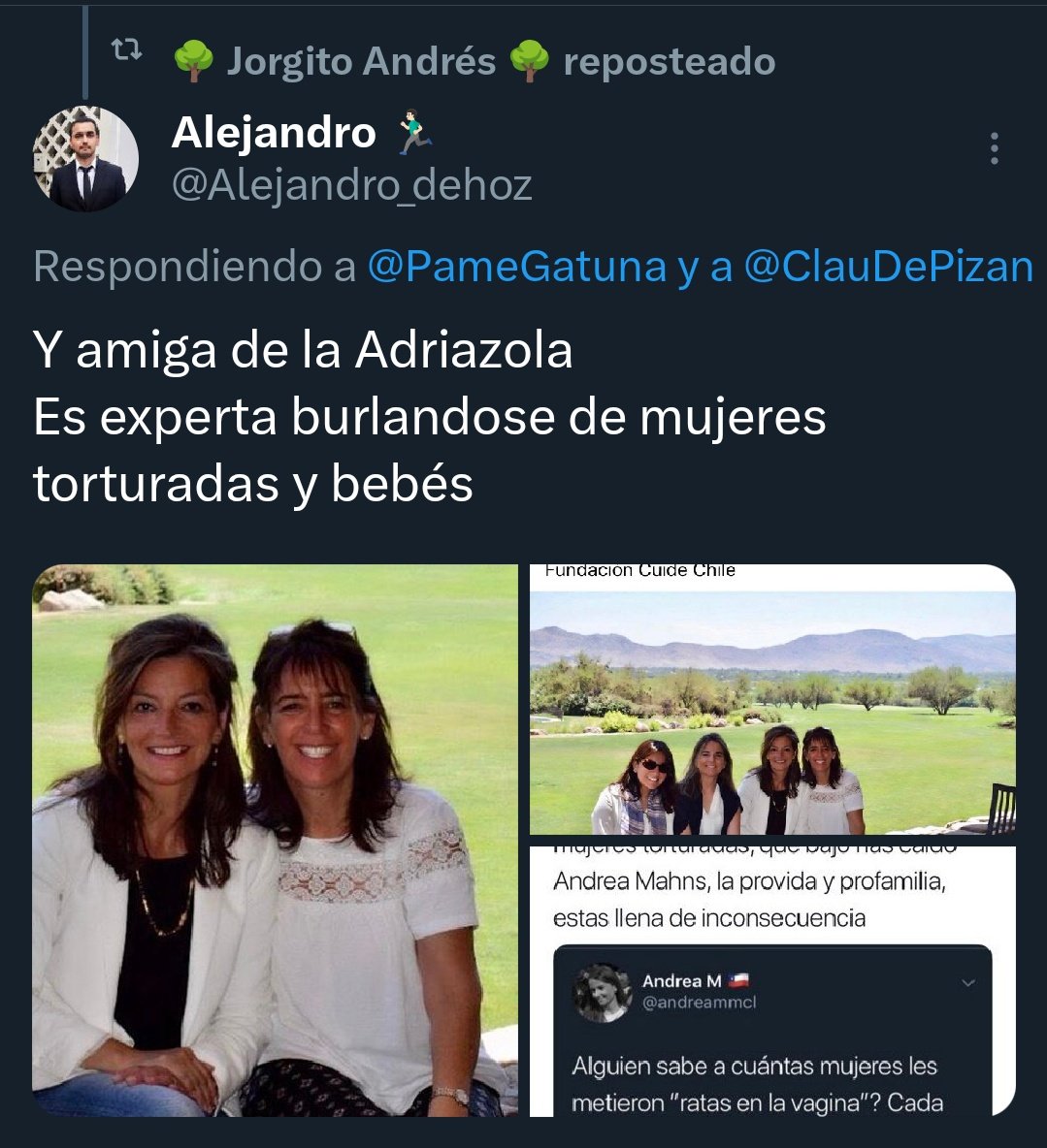 Así con la primera dama... Este es el nivel de este gobierno
