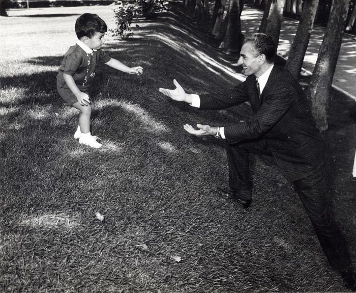 That Persian Lady tweet media