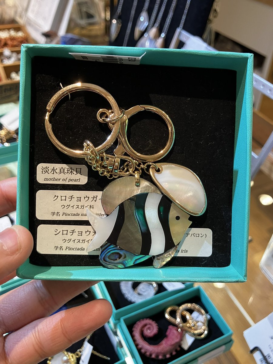 タコナクション 本物のタコを型取り (@takonaction_) / Posts / X