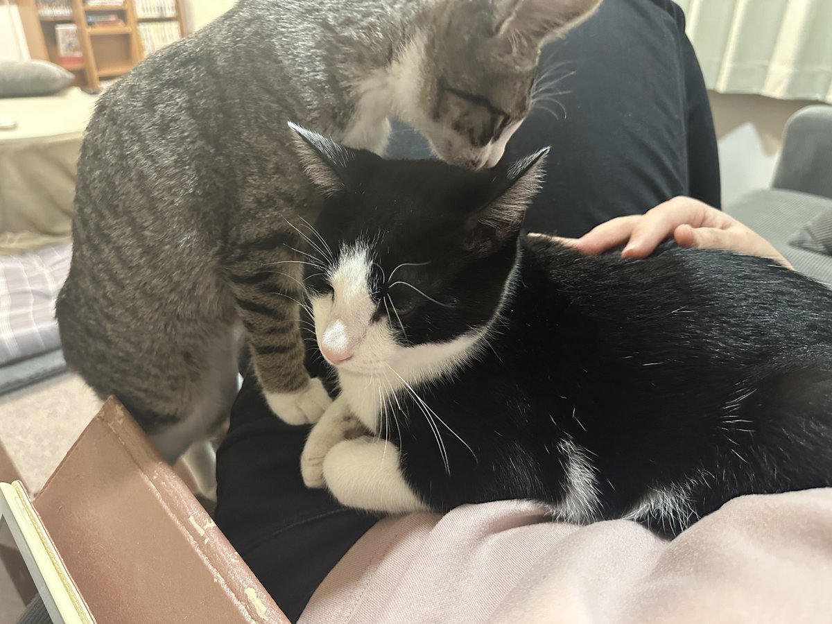 幸せと愛が同時にきてる