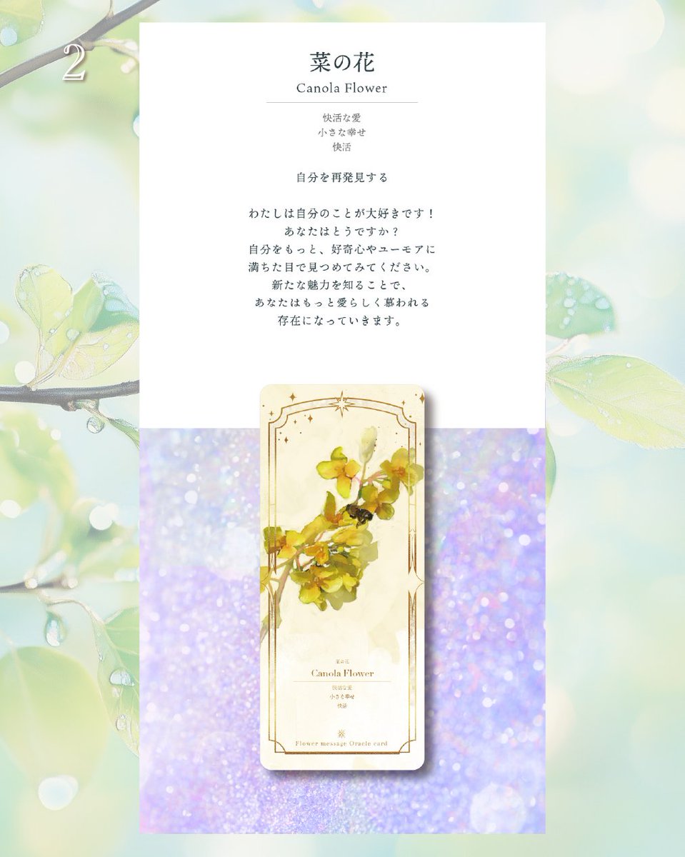 FlowermessageO's tweet photo. 【2】を選んだあなたへ
💐菜の花『快活な愛・小さな幸せ・快活』

わたしは自分のことが大好きです！
あなたはどうですか？

自分をもっと、好奇心やユーモアに
満ちた目で見つめてみてください🌼

新たな魅力を知ることで、
あなたはもっと愛らしく
慕われる存在になっていきます。

春の菜の花畑のように、
明るく軽やかな気持ちで過ごしてみてください✨