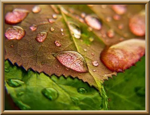 العلم الشرعي - La science légiférée tweet media