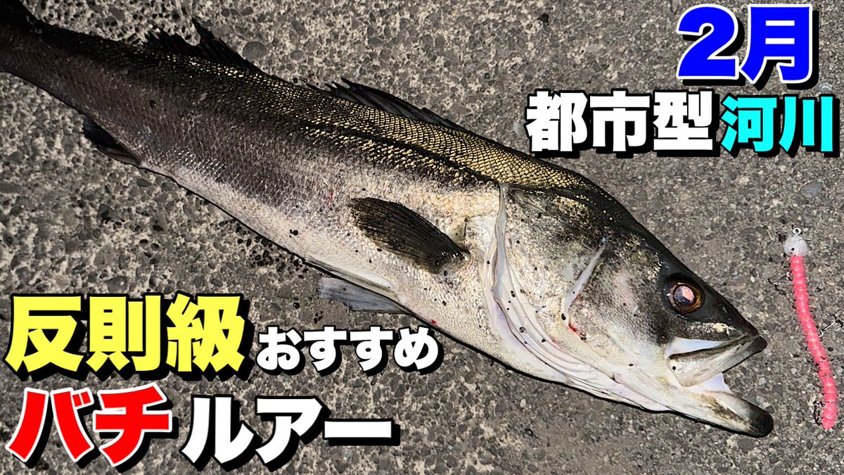 Mi3_official (@Mi3_fishing) / Posts / X
