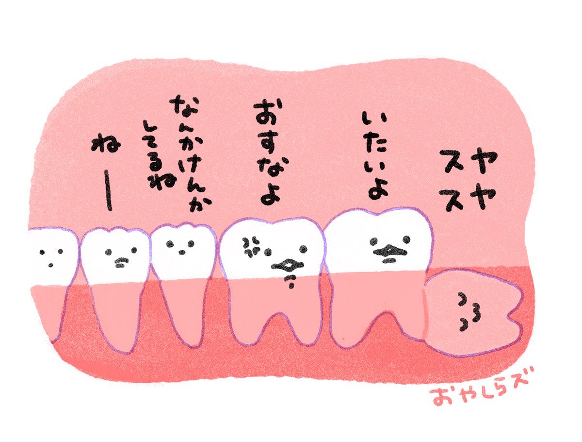 _oyashira_zu's tweet image. こんな感じかもしれないね🦷 #親知らず #スヤスヤ