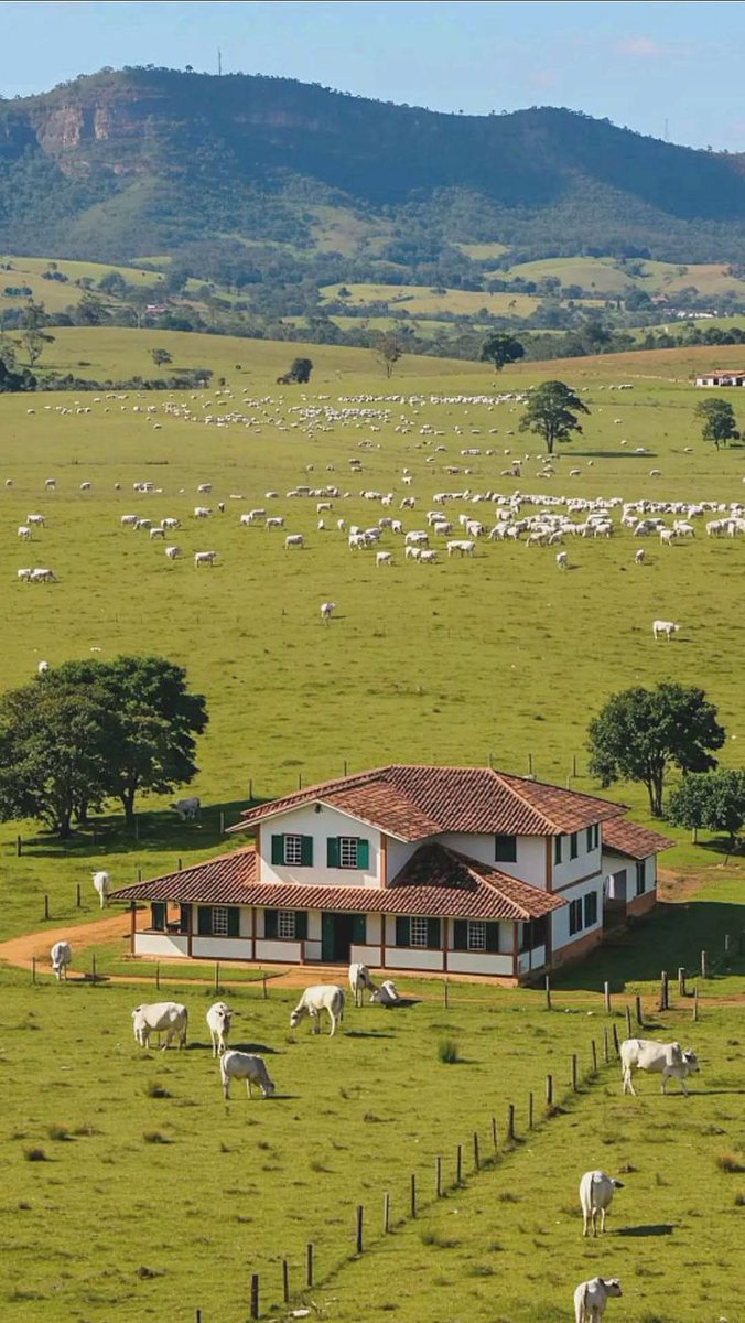 Note To Self tweet media