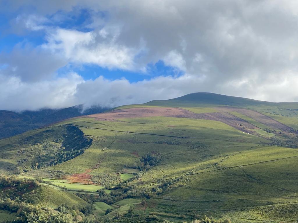 Principado de Asturias tweet media