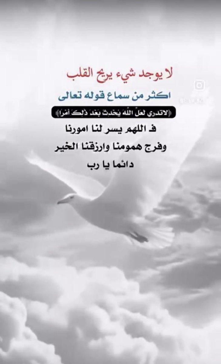 دلال محمد (@dalalg43) on Twitter photo 