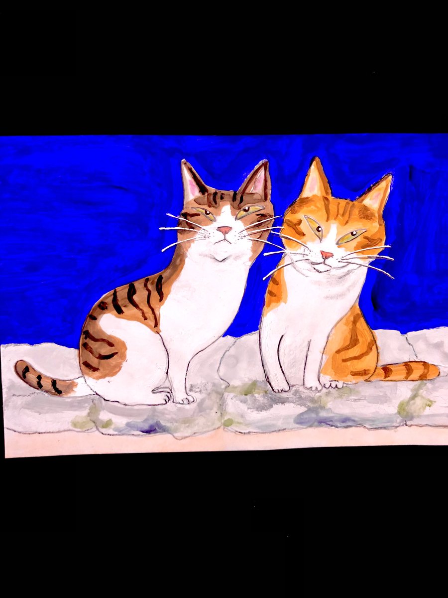 猫壱屋久右衛門 (@og9Z0HG7T7lLpNM) / Posts / X