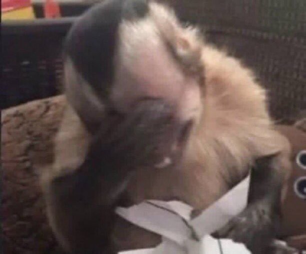 Delva_bryne's tweet image. I think skinny women kubeba bonge la bwenye should be studied 😂💀