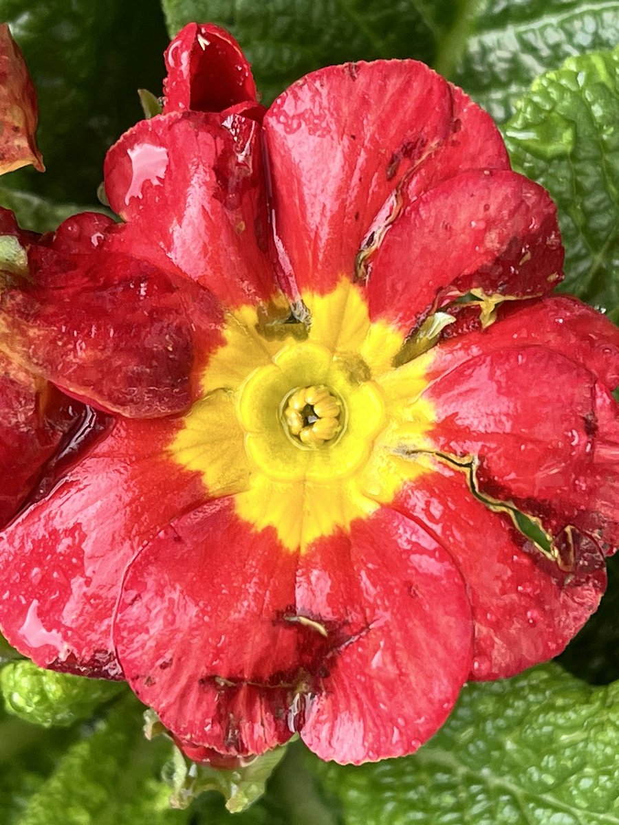 sandra_nimha's tweet image. I’m not a photographer I just like taking photos.
As AI generators tend to create technically perfect yet "bland" or "plastic" imagery. 
I  love genuine, imperfect photographs. #keepitreal