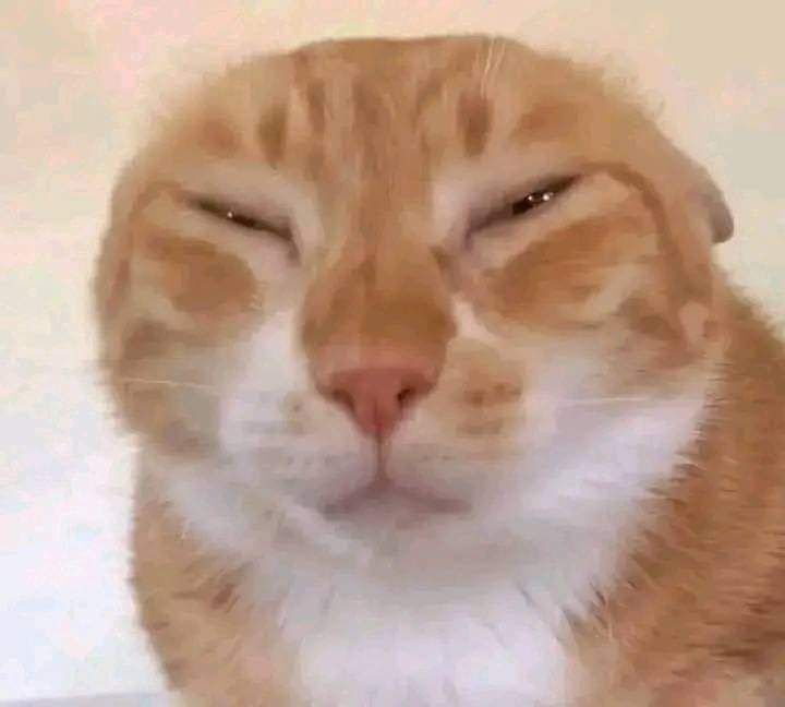 pineapple tweet media