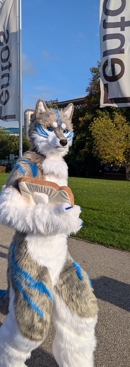 Fluffy Wolf tweet media