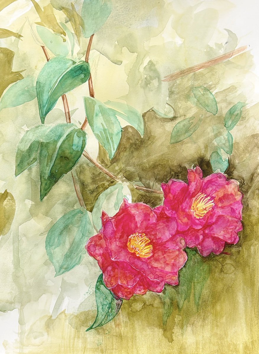 atiillust's tweet photo. 山茶花を描きました。
2.5h

#水彩画
#花の絵
#山茶花
#watercolour 
#絵描きさんと繋がりたい https://t.co/amjbboYiKW