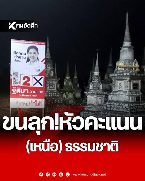 พ่อเลี้ยงไร่ยอง มัมหมีน้องดีโน่ (@raiyounggarden) on Twitter photo 