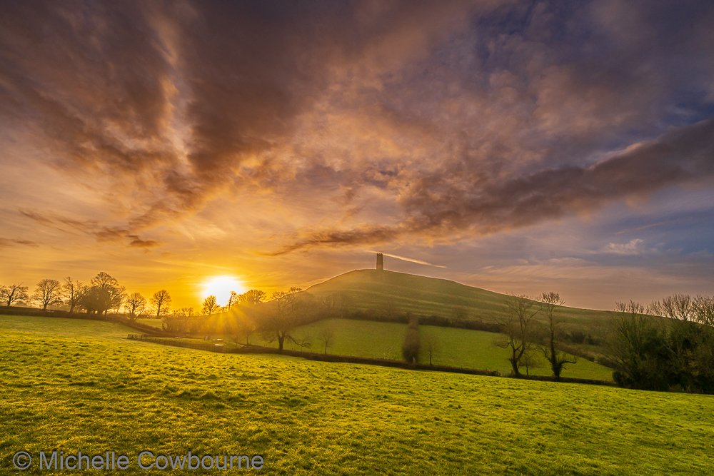 Michelle Cowbourne tweet media